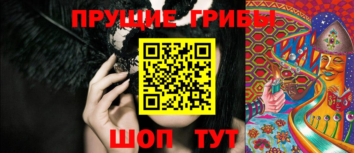 Псилоцибиновые грибы Cubensis Кыштым